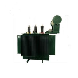 Oil Immersed Transformer (100-1600) kVA for Russian Market, with Accessories 협력 업체