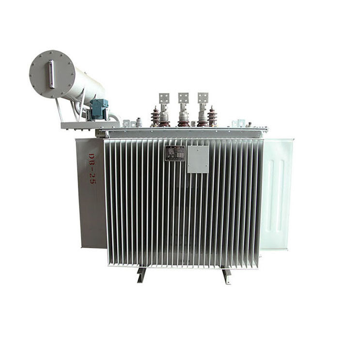 Oil Immersed Transformer (100-1600) kVA for Russian Market, with Accessories 협력 업체